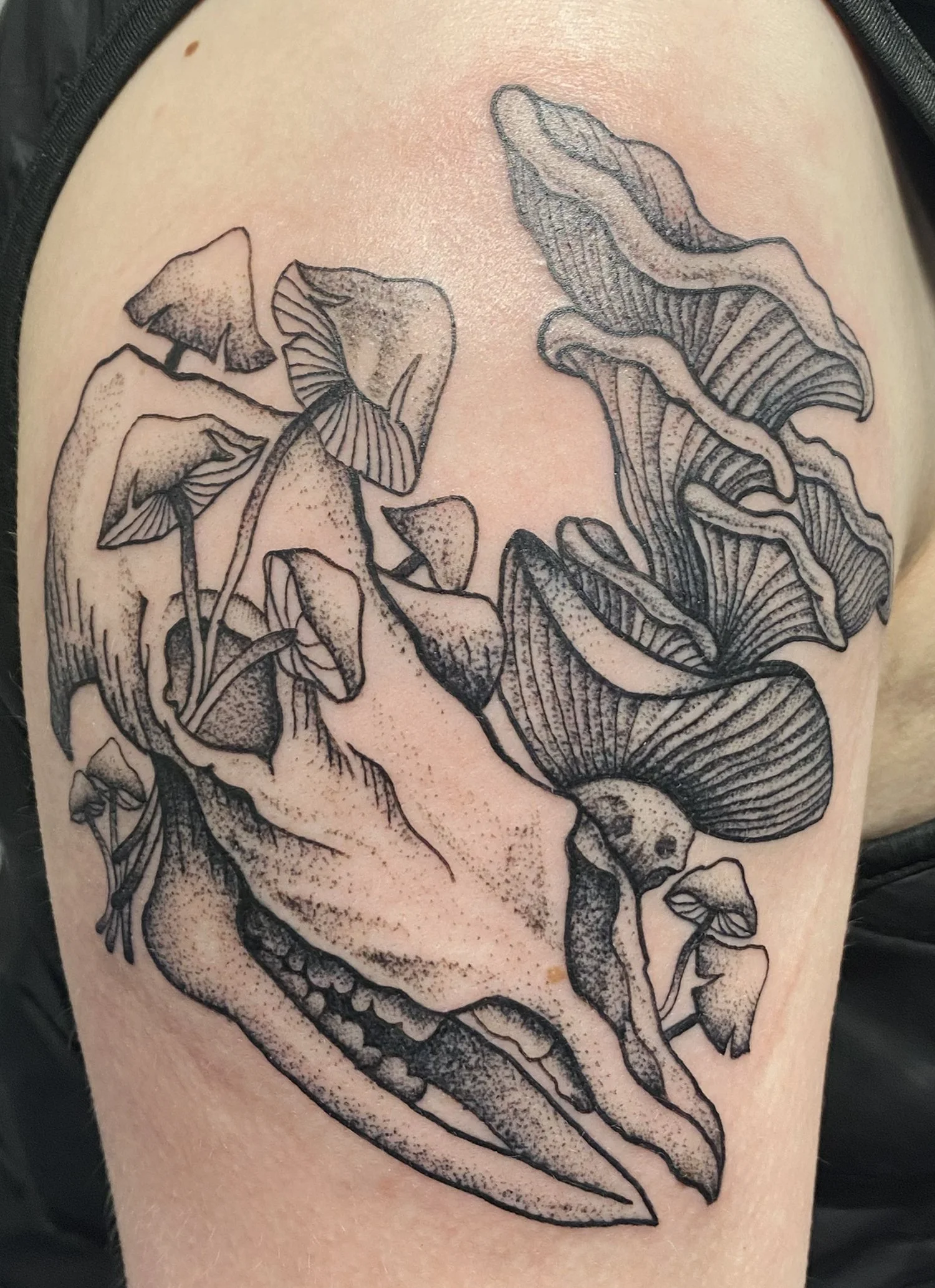 caribou skull for Elliot.jpg