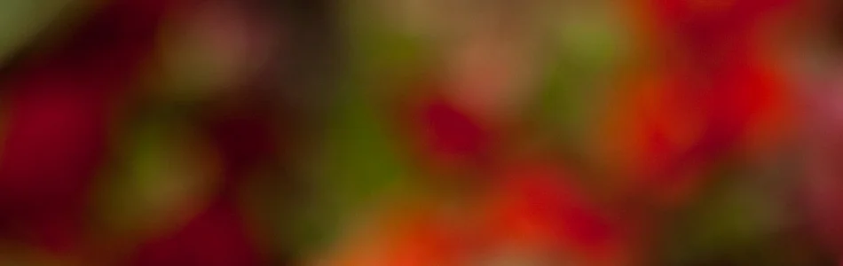 passion.jpg