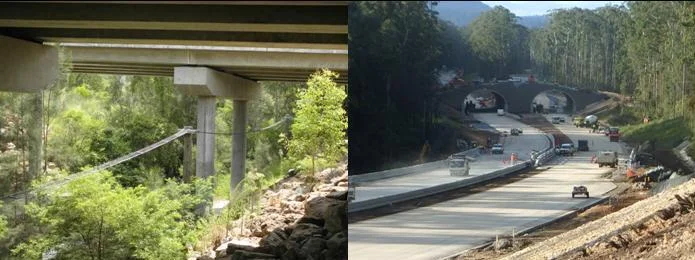 Mitigation works along the Pacific Highway upgrade. Image: Brendan Taylor
