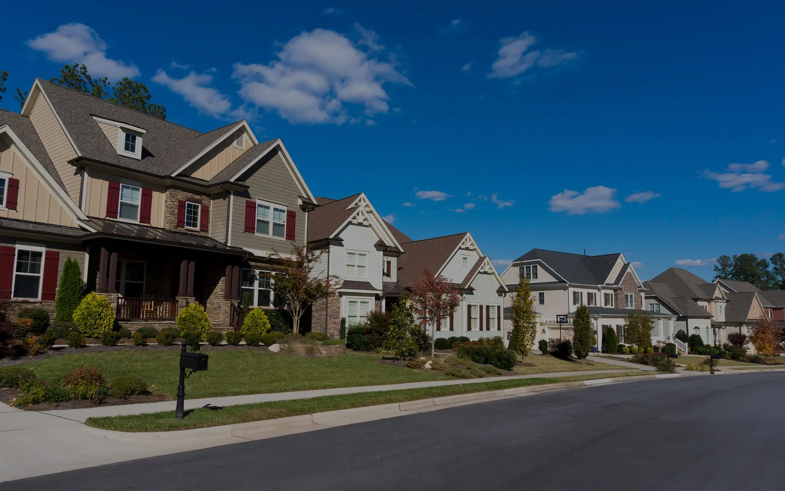 neighborhood.jpg