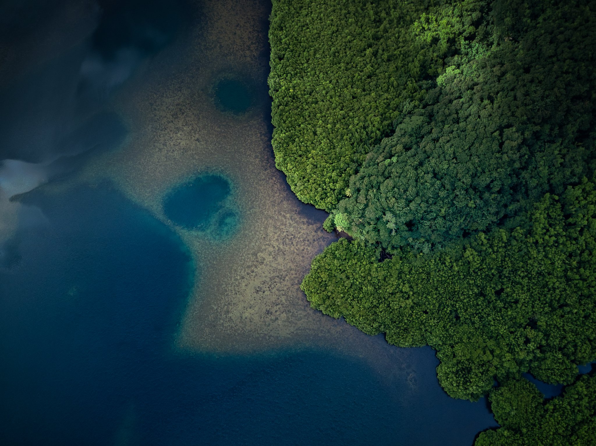 DJI_0431.jpeg