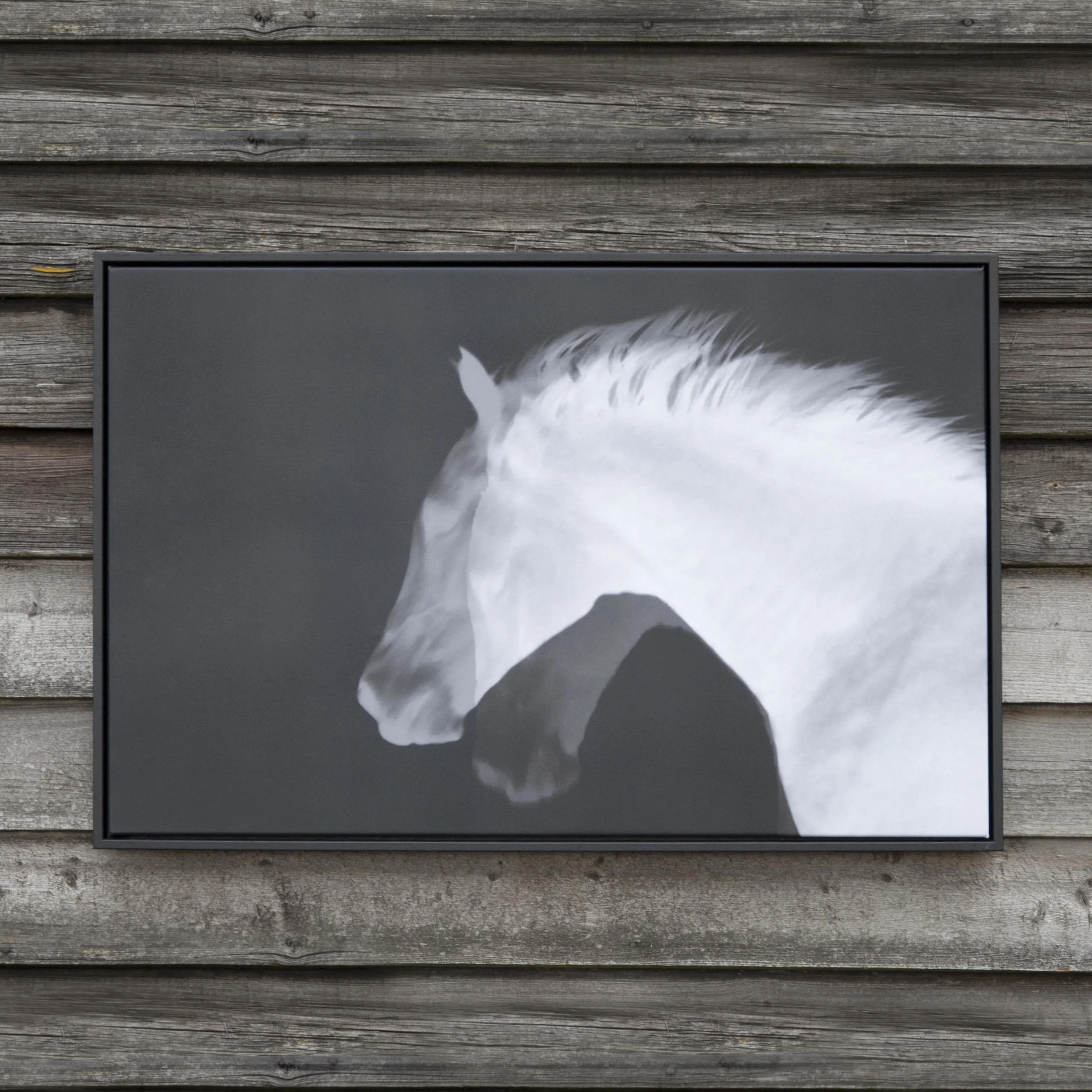 DoubleHorseBarnSquare.jpg