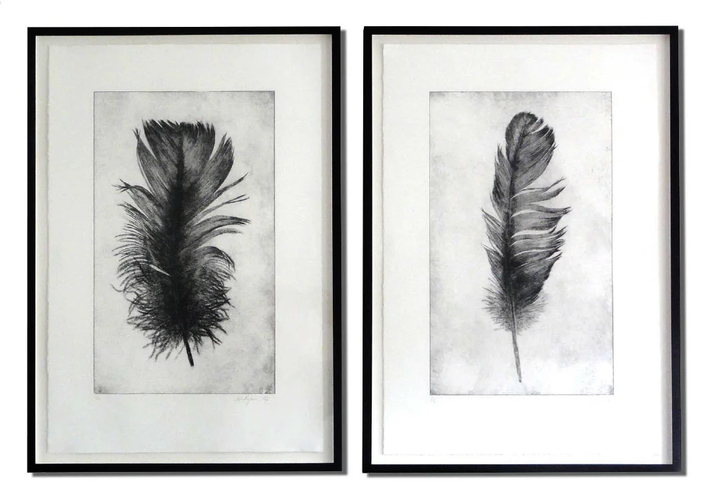 Swan Feather and Single Feather