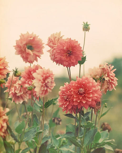 Transforming Chaos into Calm