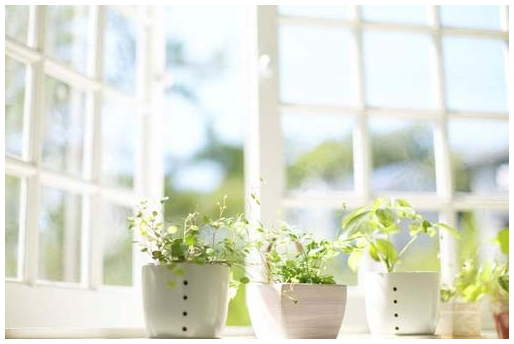 Indoor Air Quality + Your Health