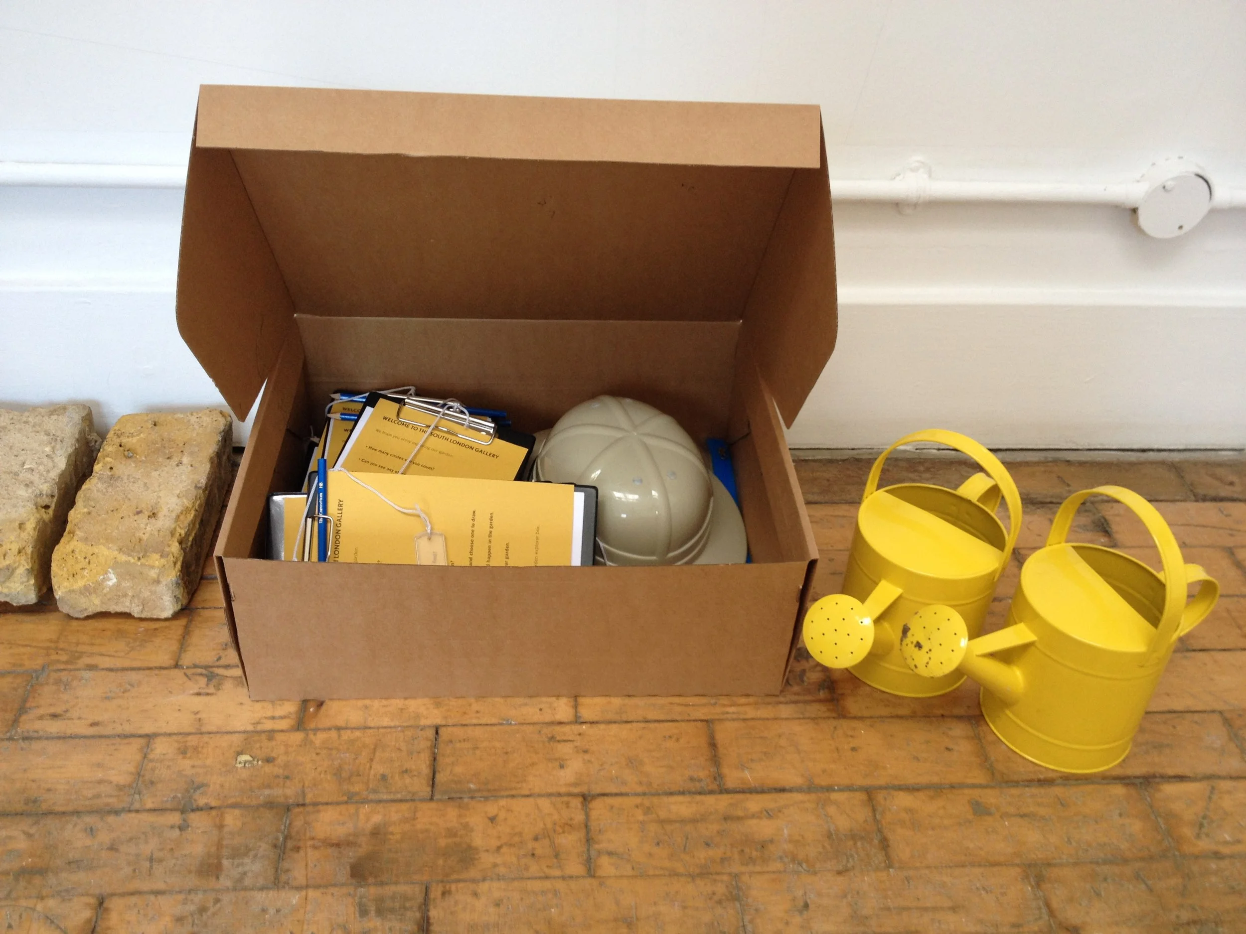 SLG's garden activity box