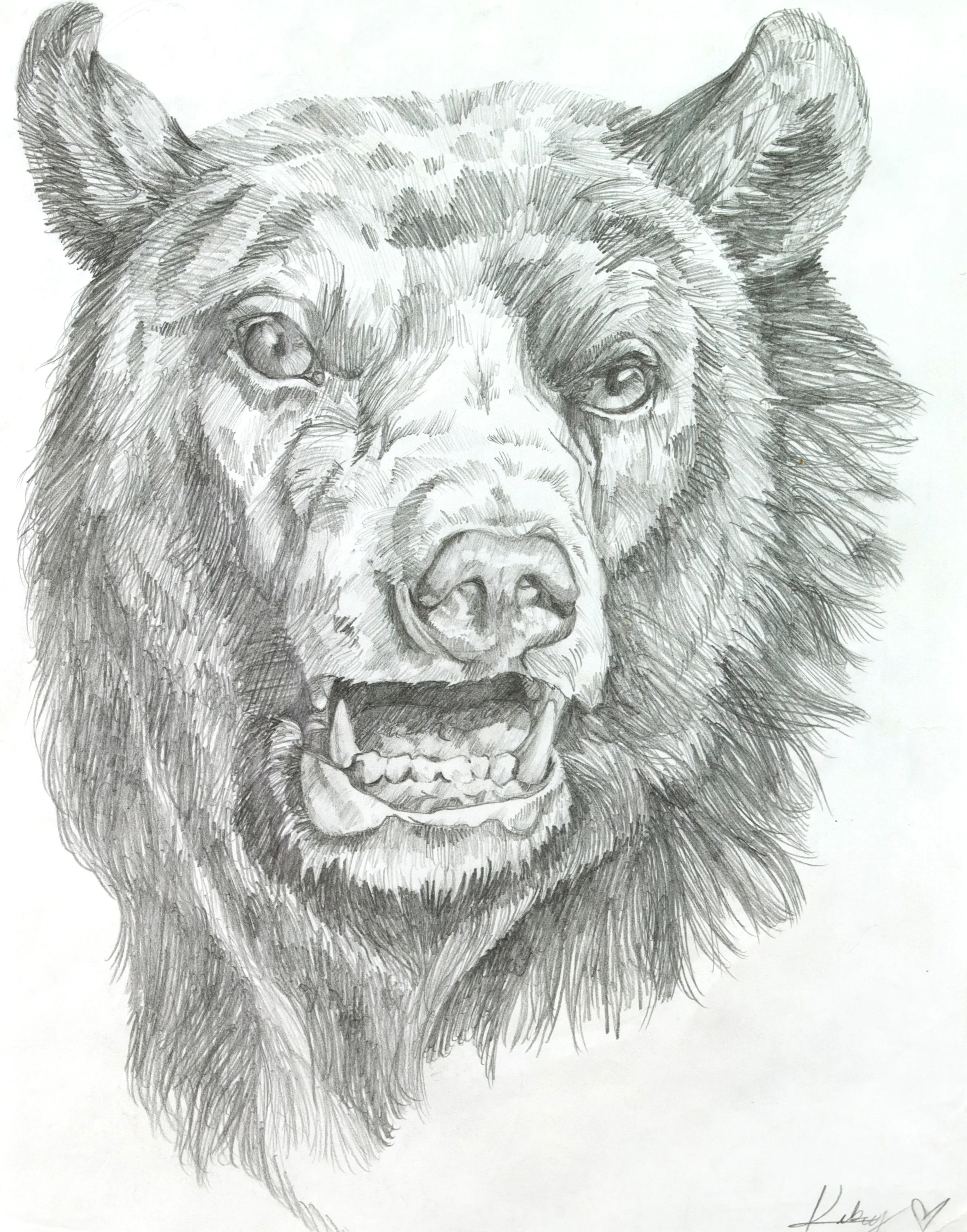 Bear Grin