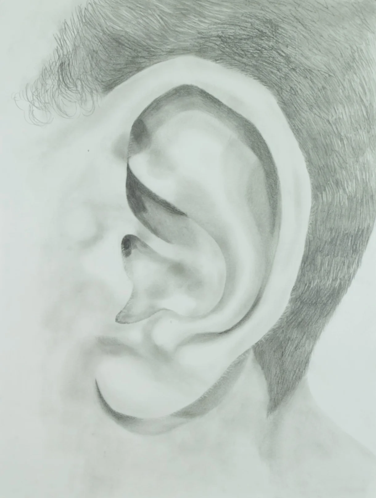 Figure Drawing Study