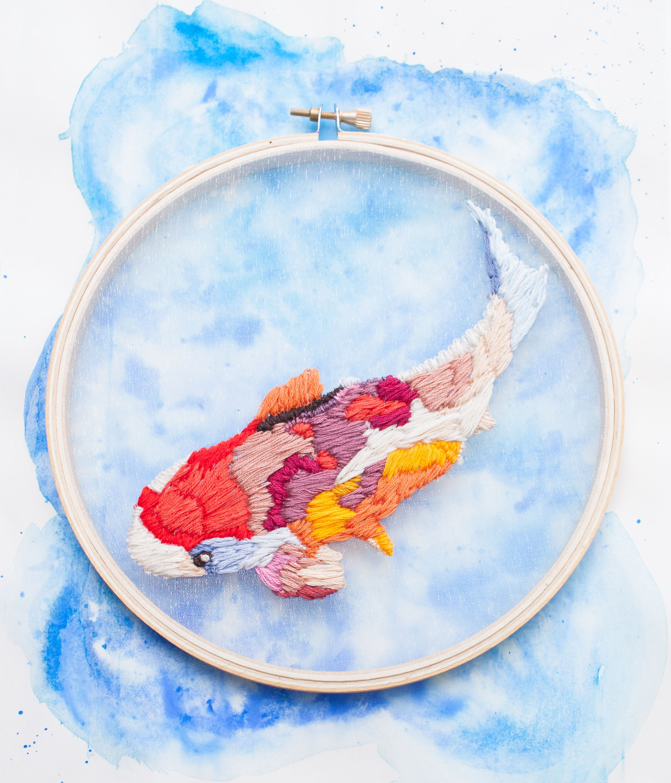 Coy as a Koi