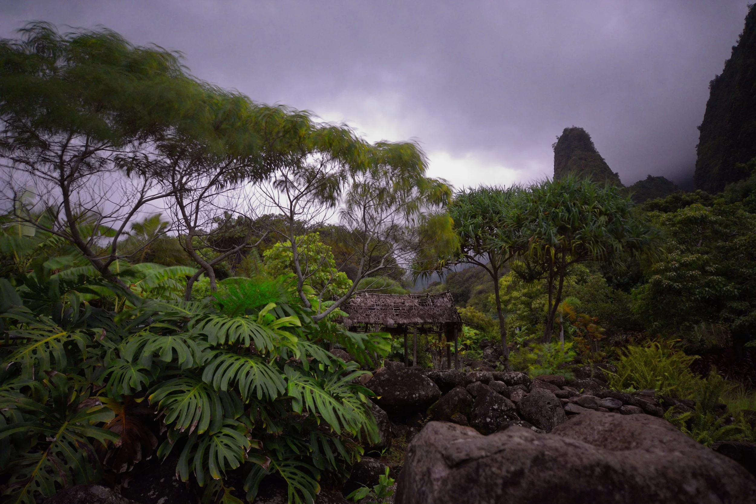 IAO_6117.jpg