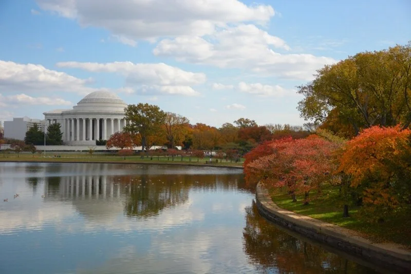 FFjeffersonM_4928 8x6.jpg