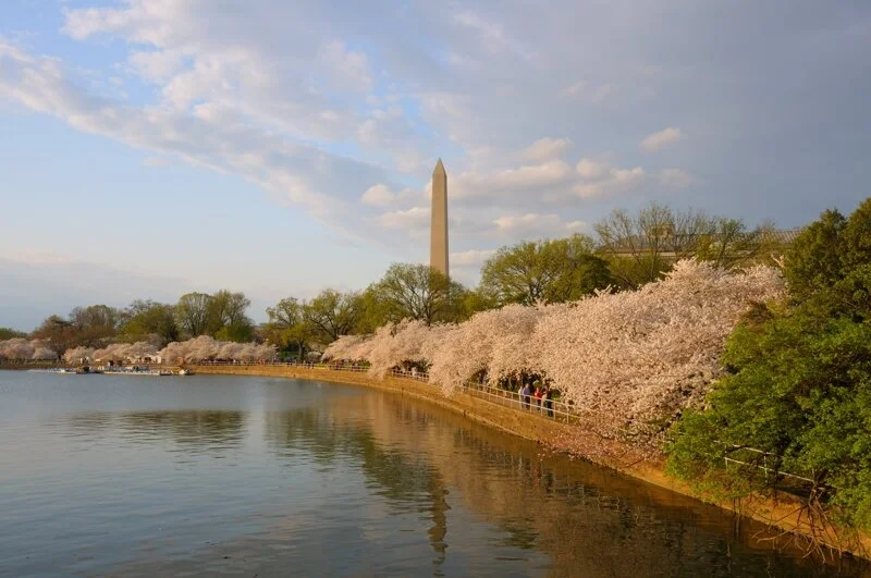 Wash Monument_4065 8x6.jpg