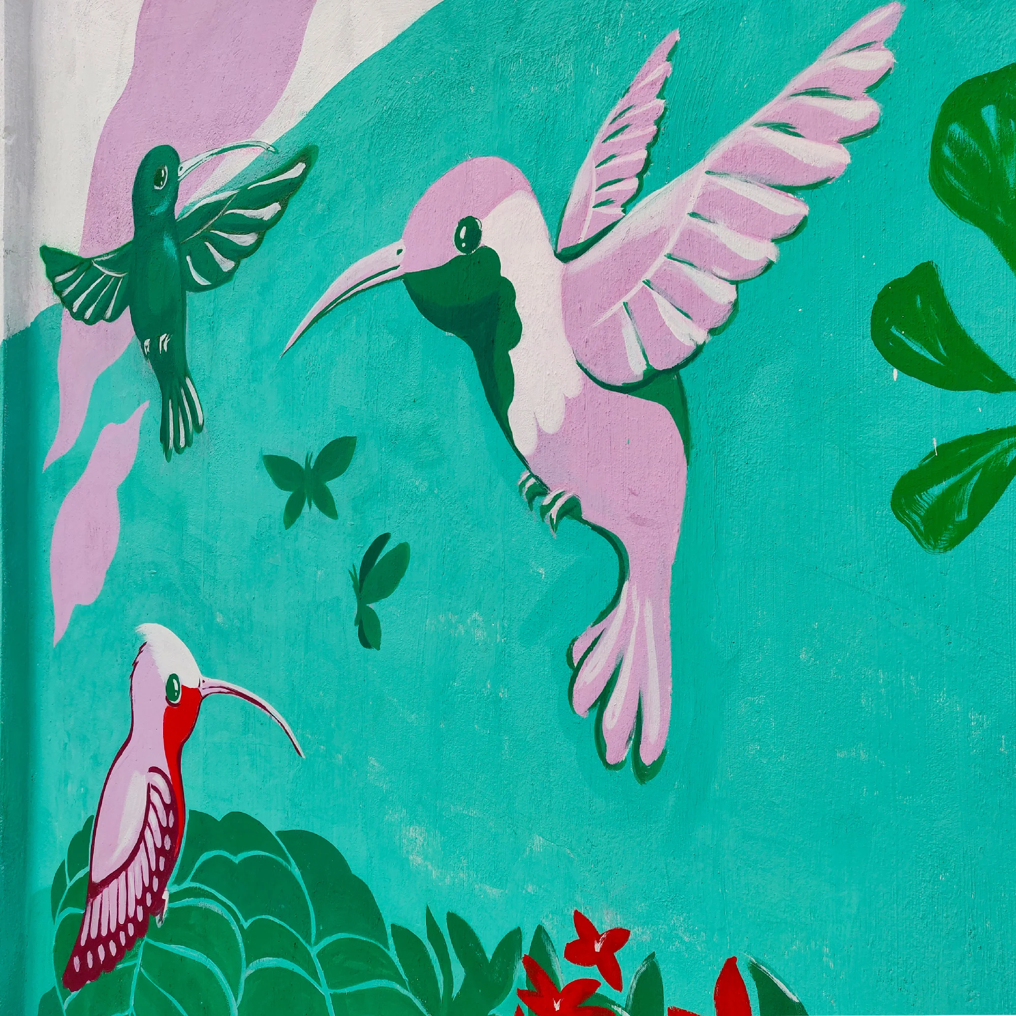 Hummingbirds (2019). Fortaleza, Ceará Brazil.