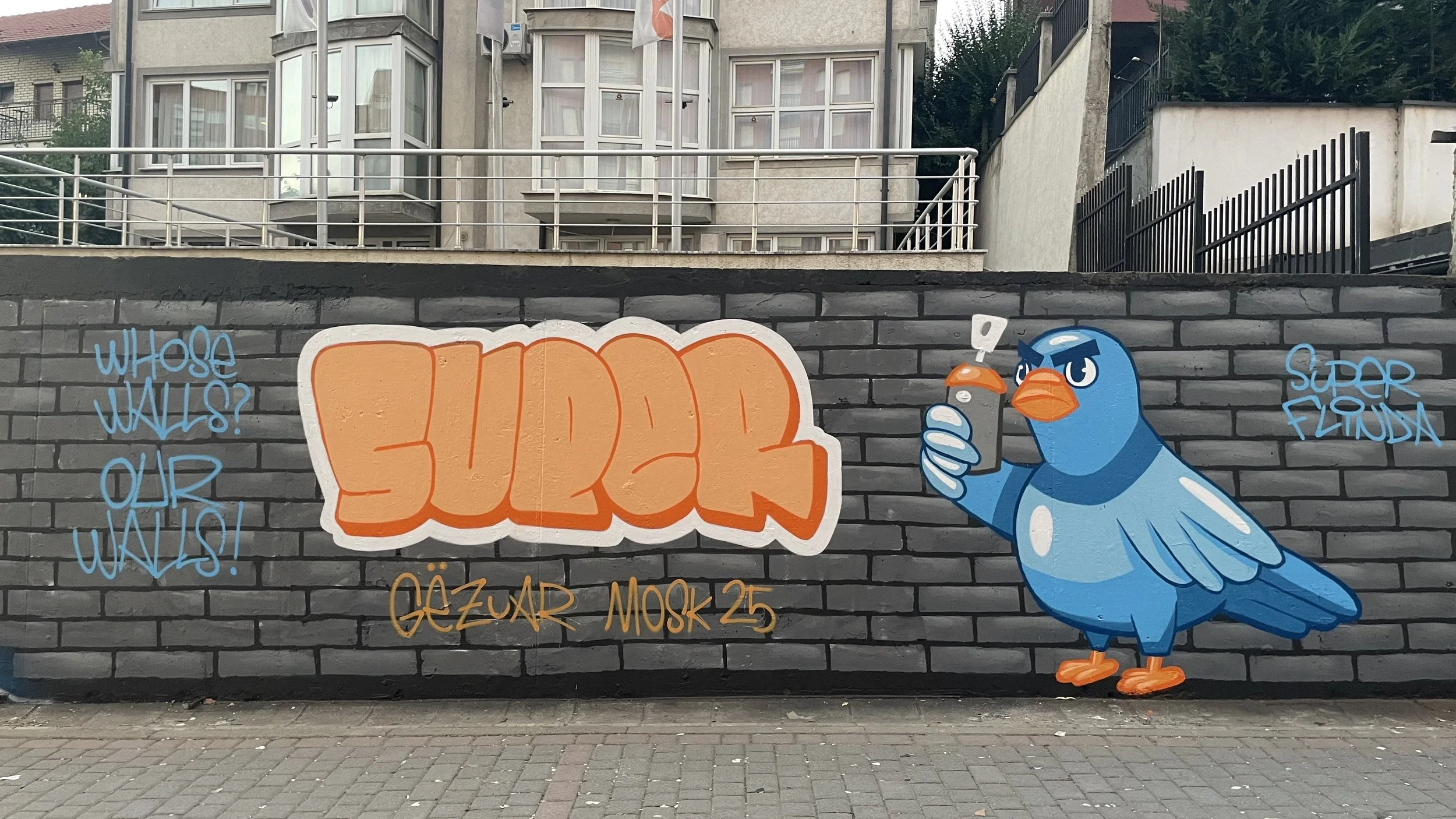 Graff Pigeon 9 × 2,5 m, Meeting of Styles Kosovo 2025.