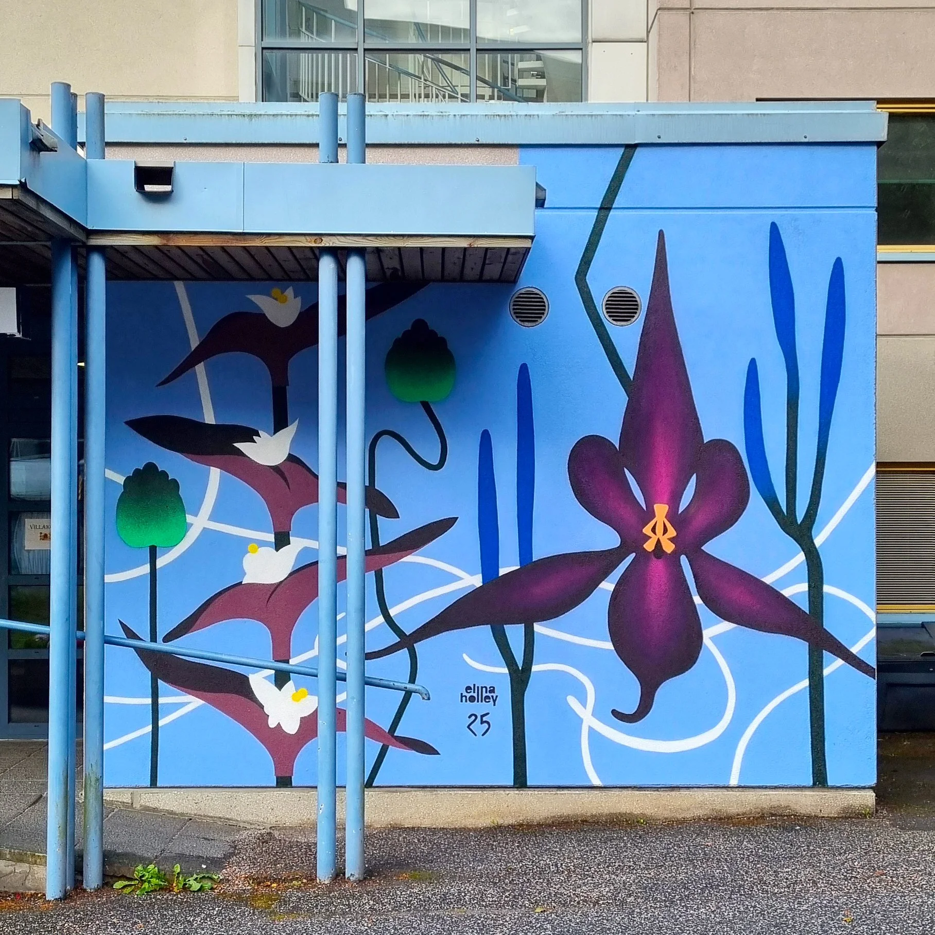 ‘Fern Paradise’ / Marjatta-Säätiö