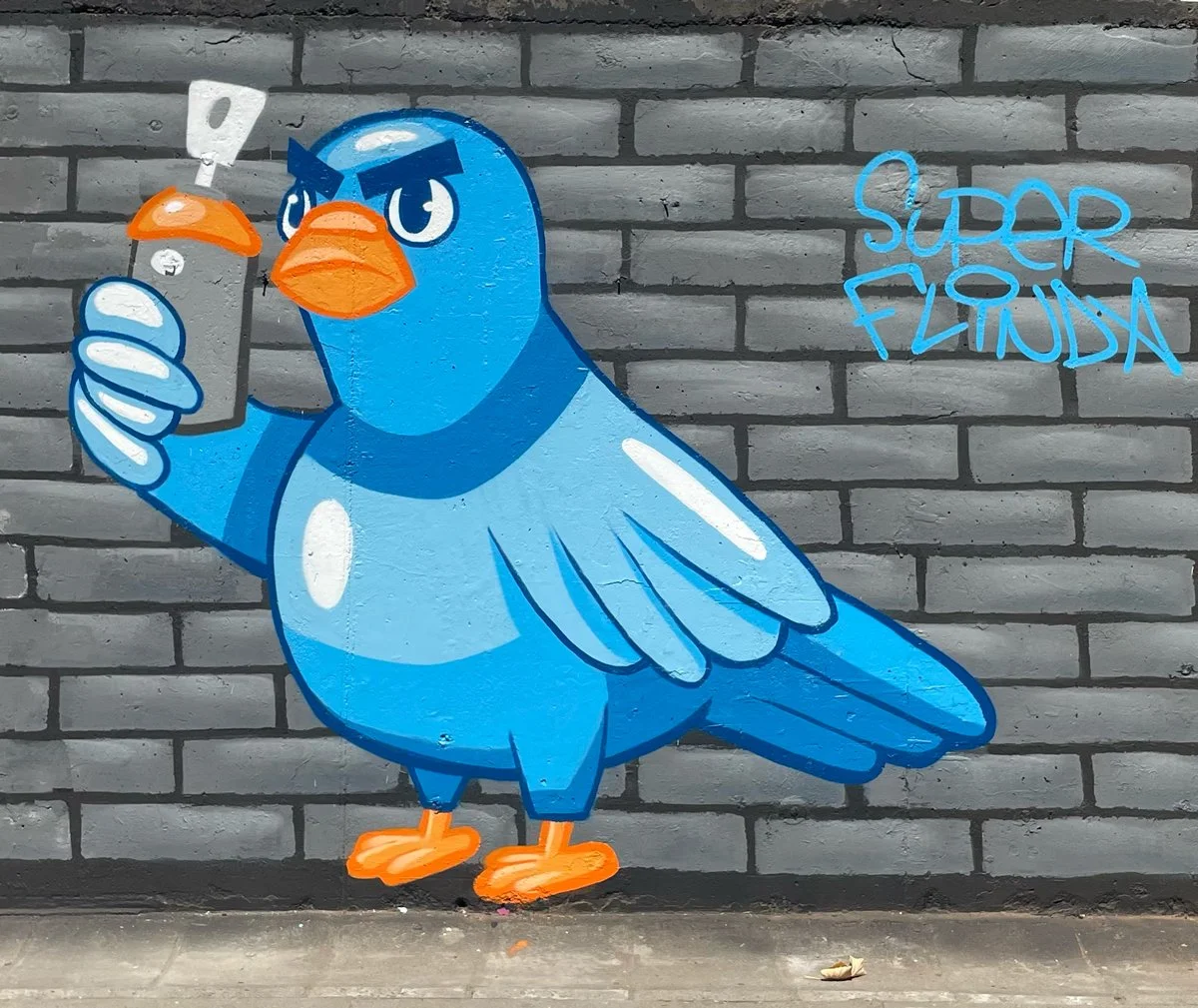   Graff Pigeon  9 × 2,5 m, Meeting of Styles Kosovo 2025. 
