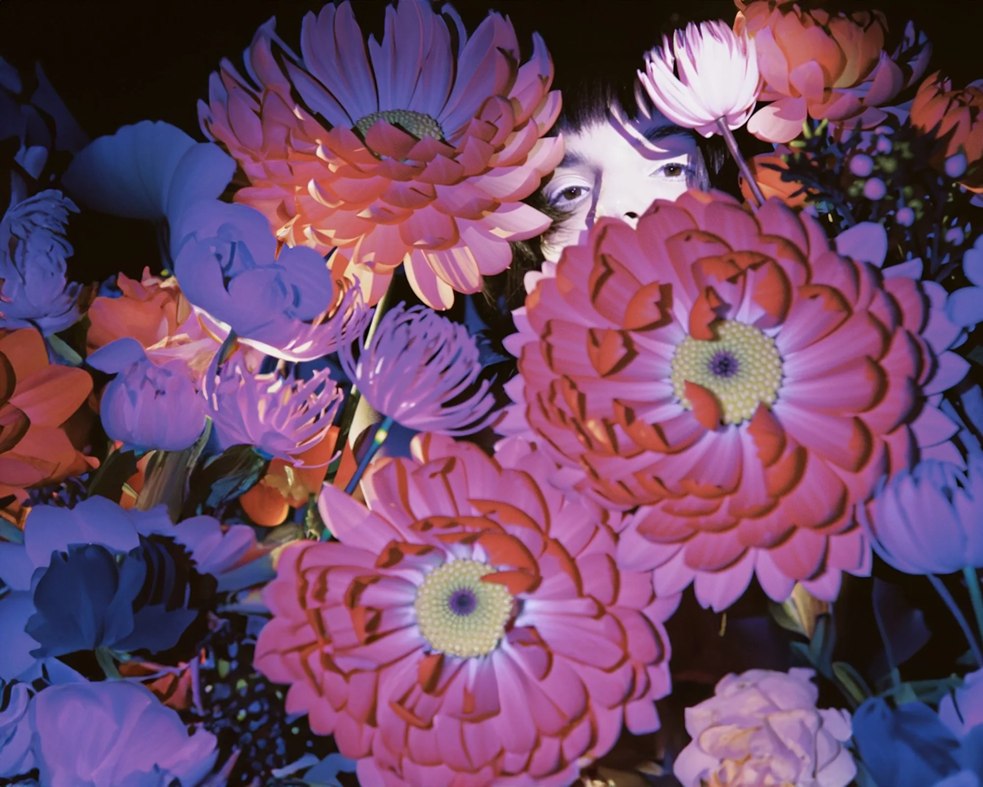 in a hedge stassi.jpg