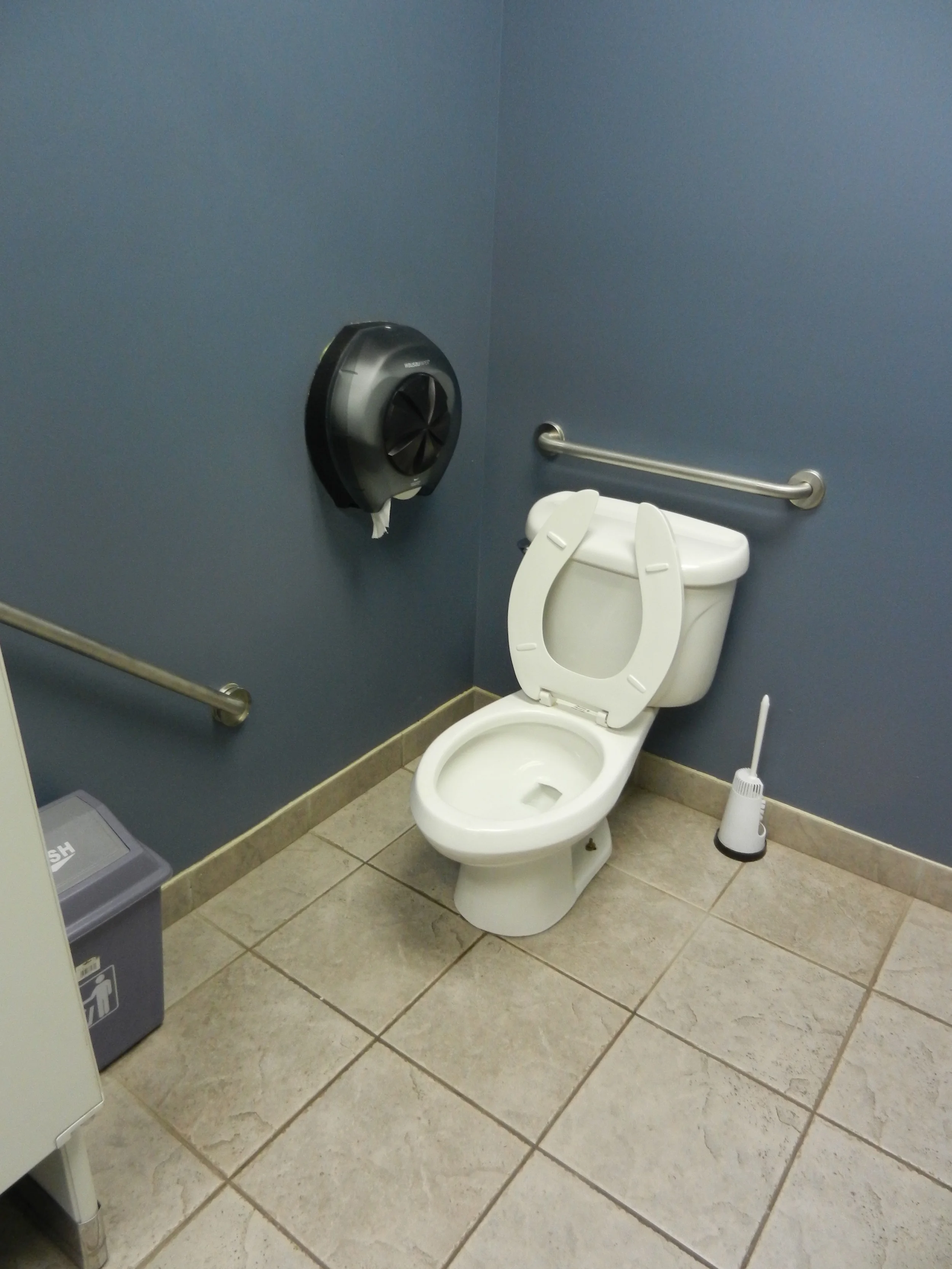Picture of accessible bathroom (toilet).