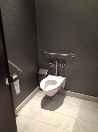 Picture of accessible washroom stall