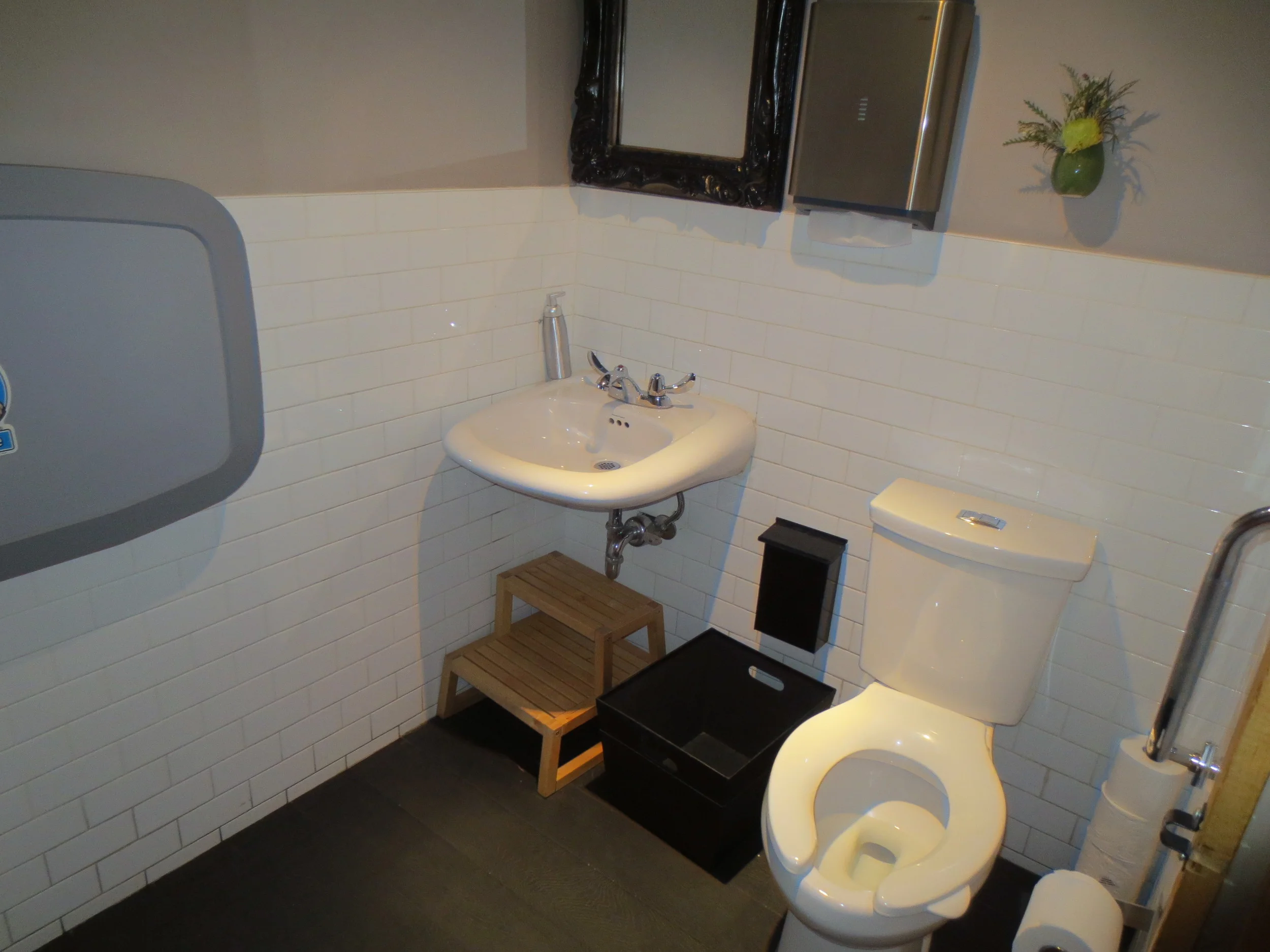 Picture of accessible washroom. Obstruction under sink noted.