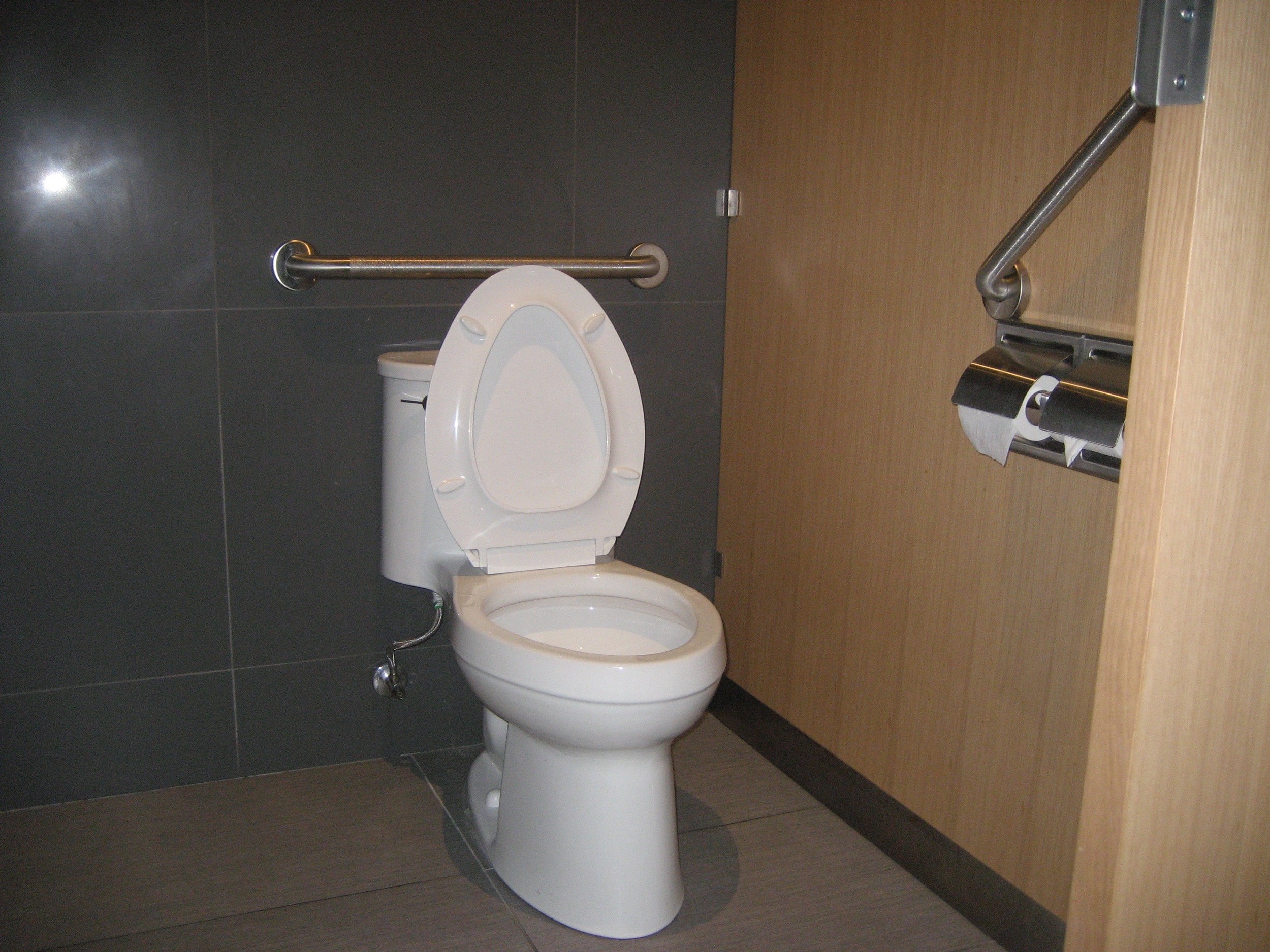 Picture of accessible washroom stall