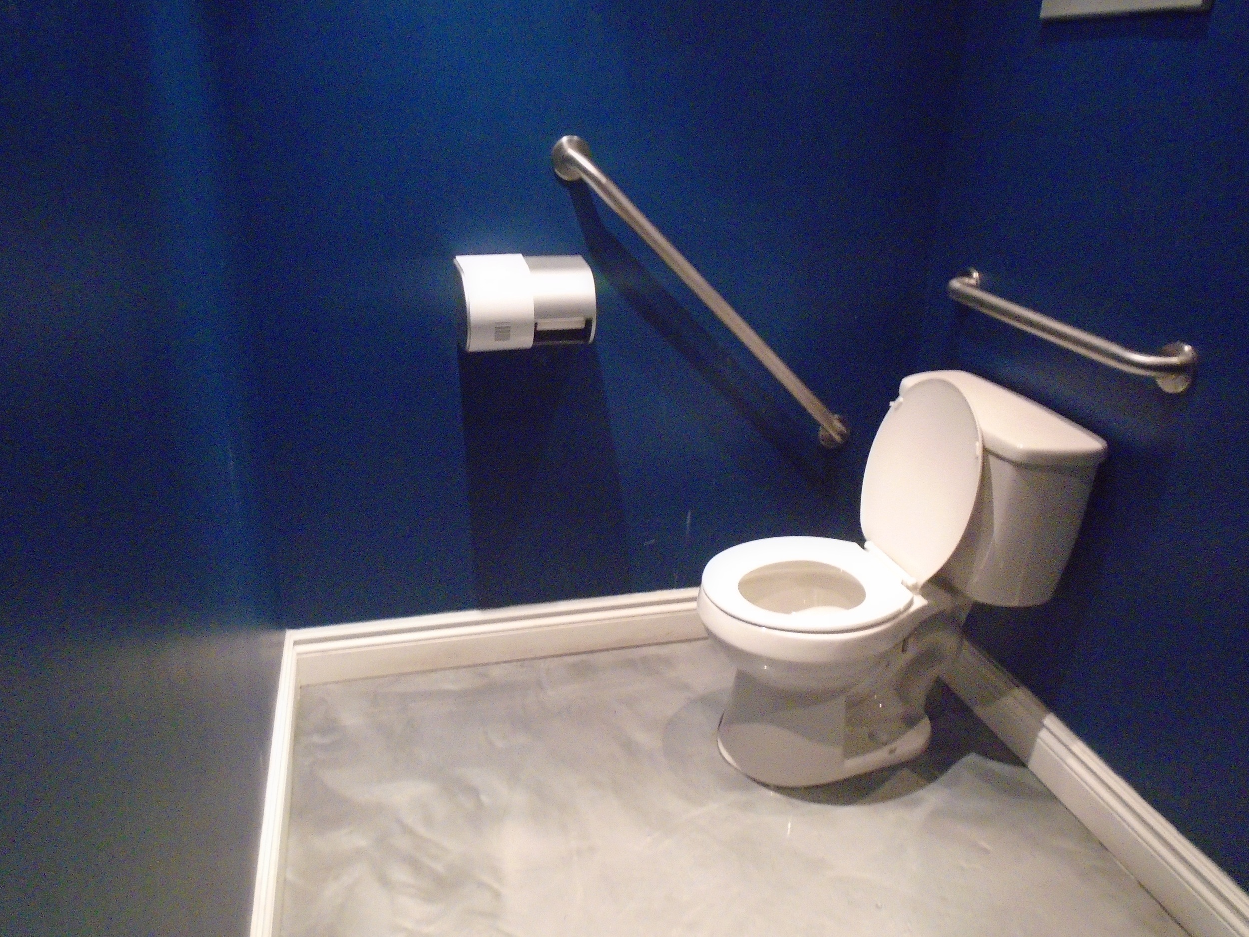 Bathroom with two grab bars beside and behind the toilet