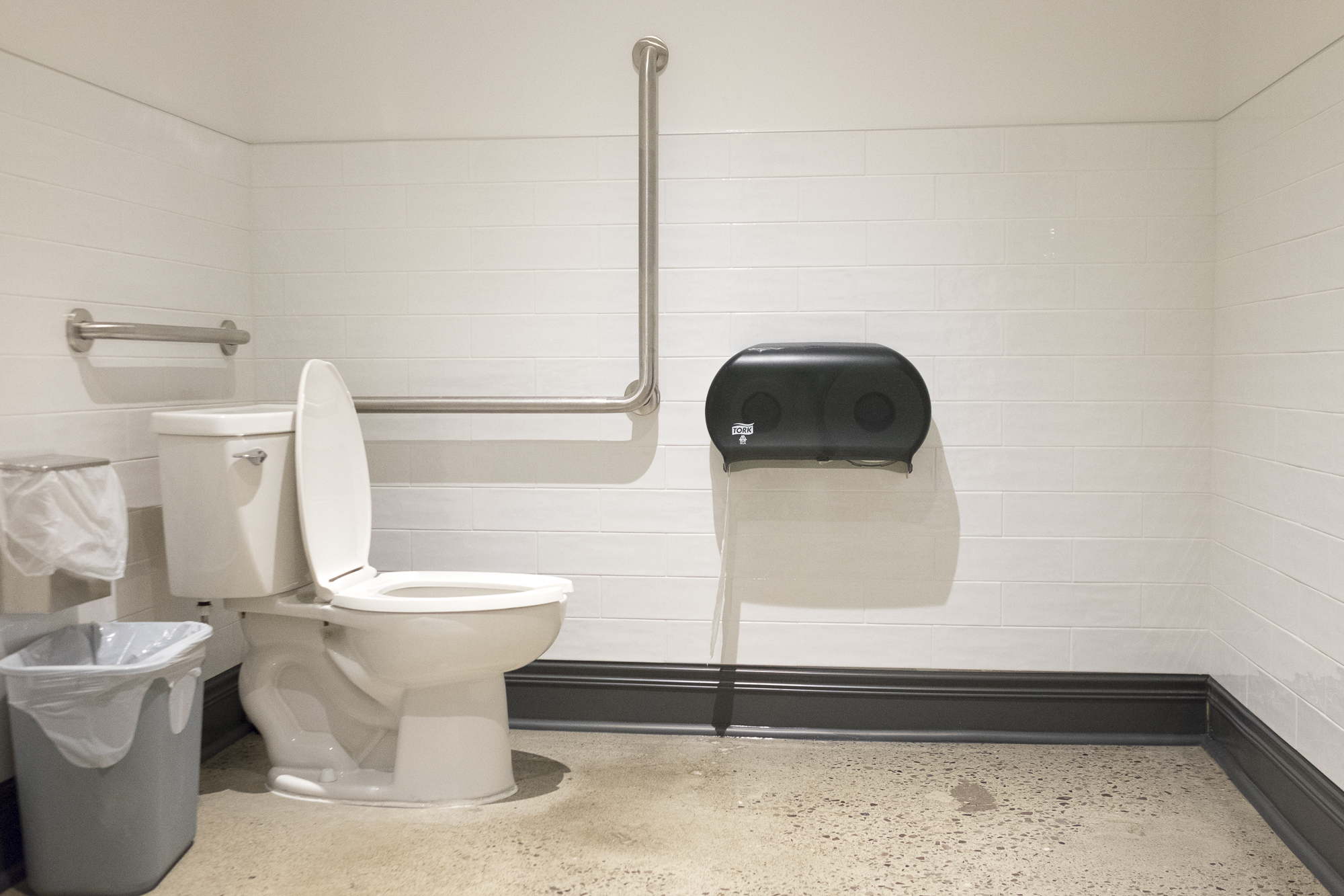 Picture of washroom with two grab bars