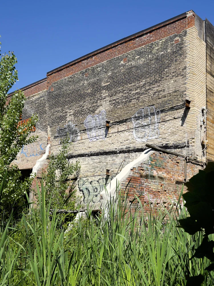 4  Events to check out this fall in Toronto