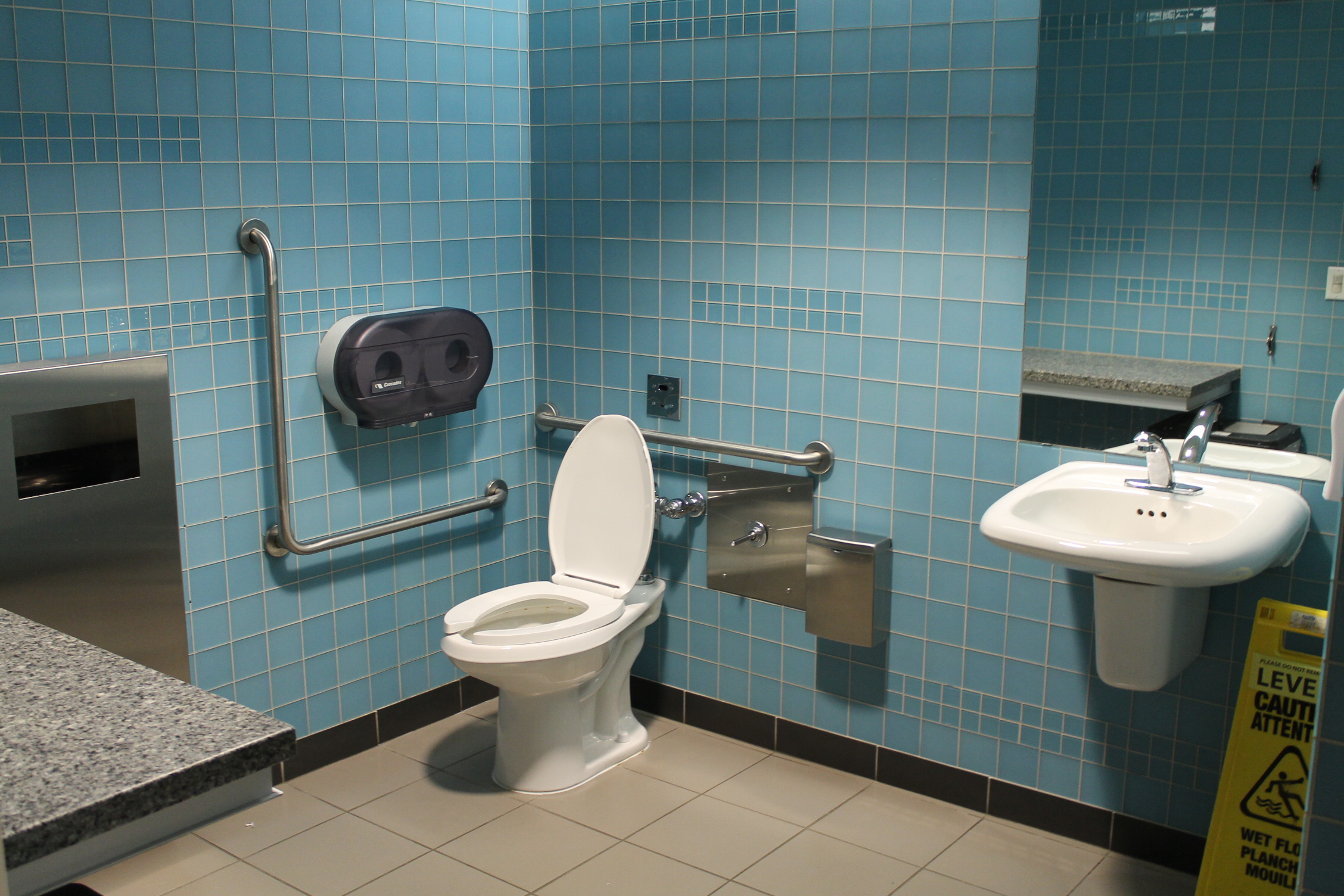 Beriatric Toilet and Restroom.JPG