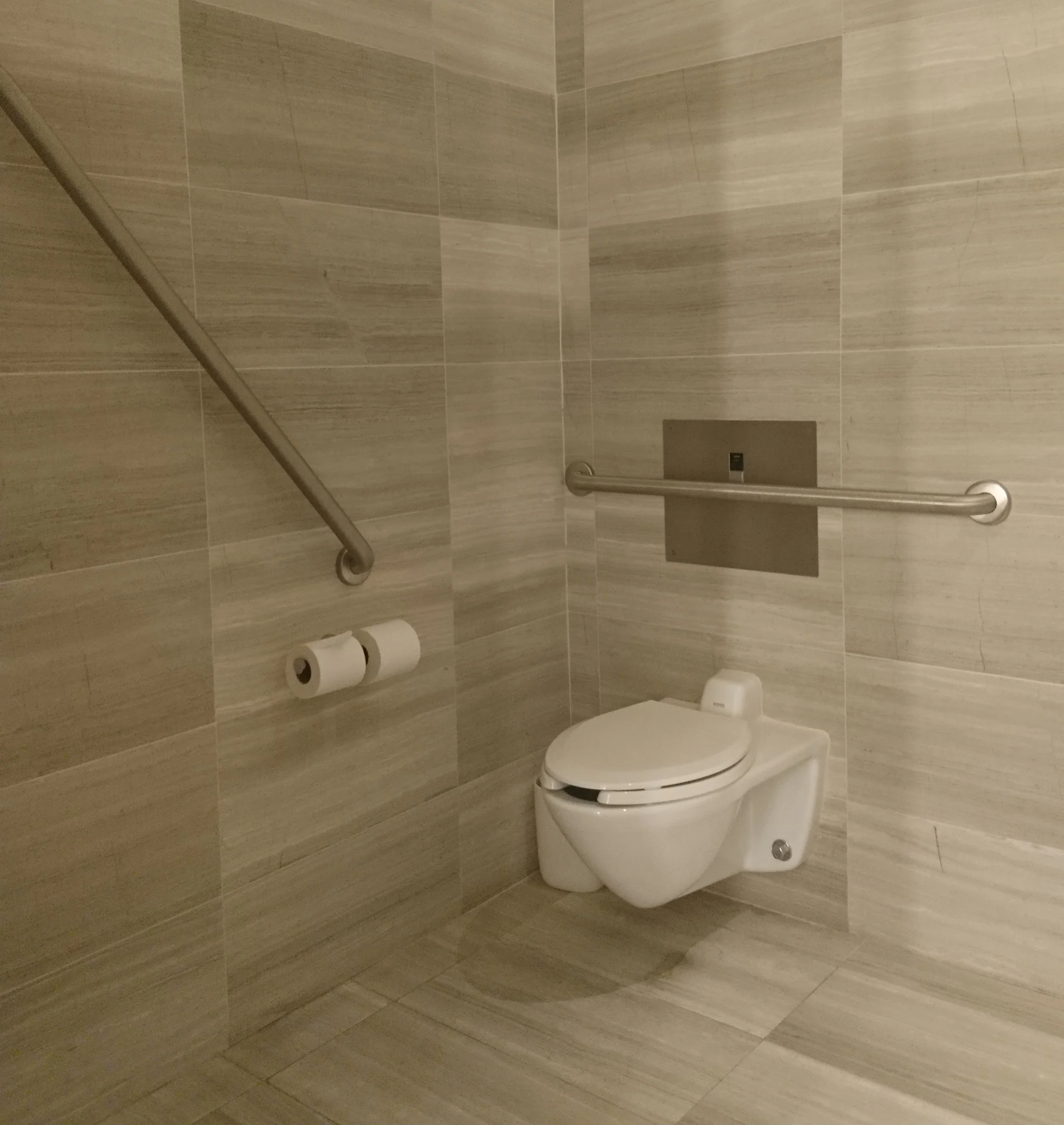 Picture of grab bars and accessible space in washroom stall