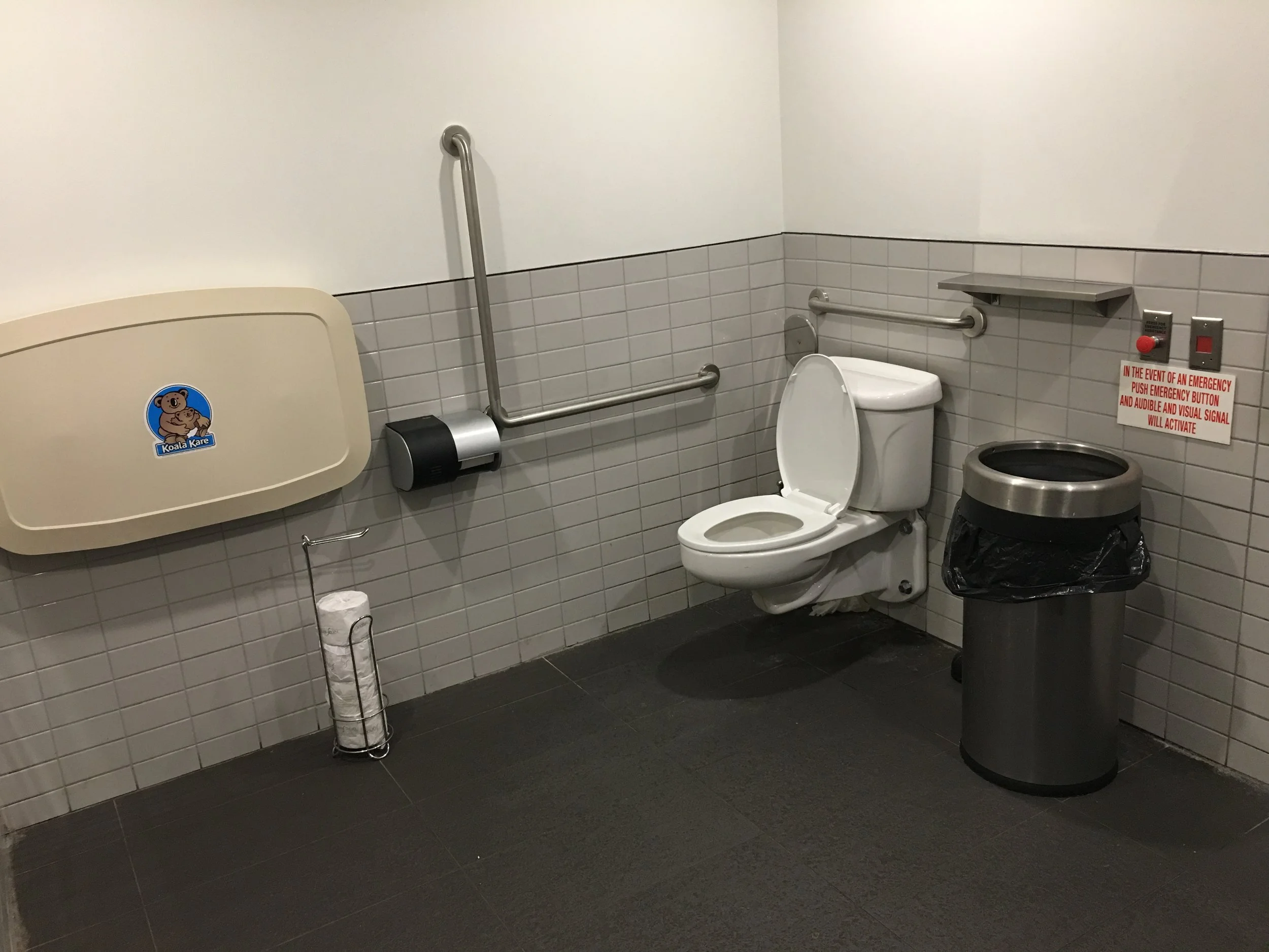 Picture of accessible washroom at Snakes & Lattes