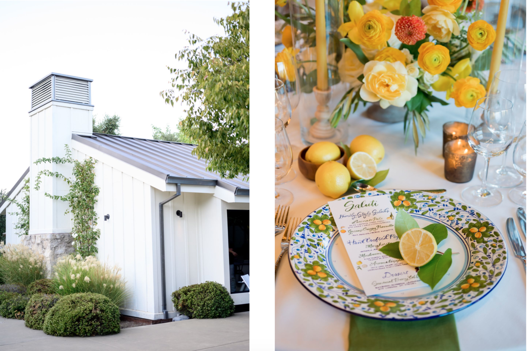 POSITANO PARTY | Brasswood | Napa Valley, California | Jenny DeMarco Photography