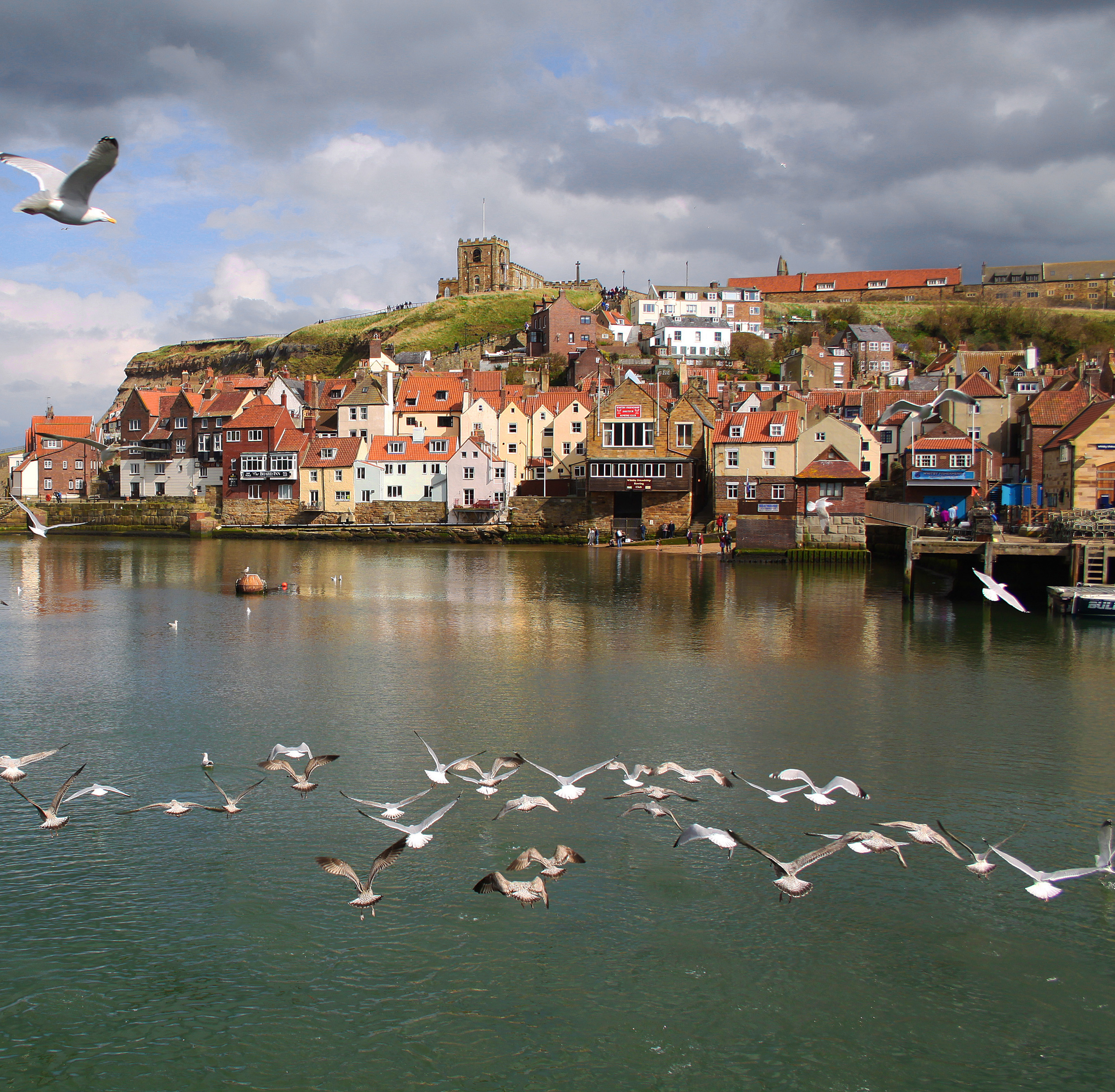 Village flock