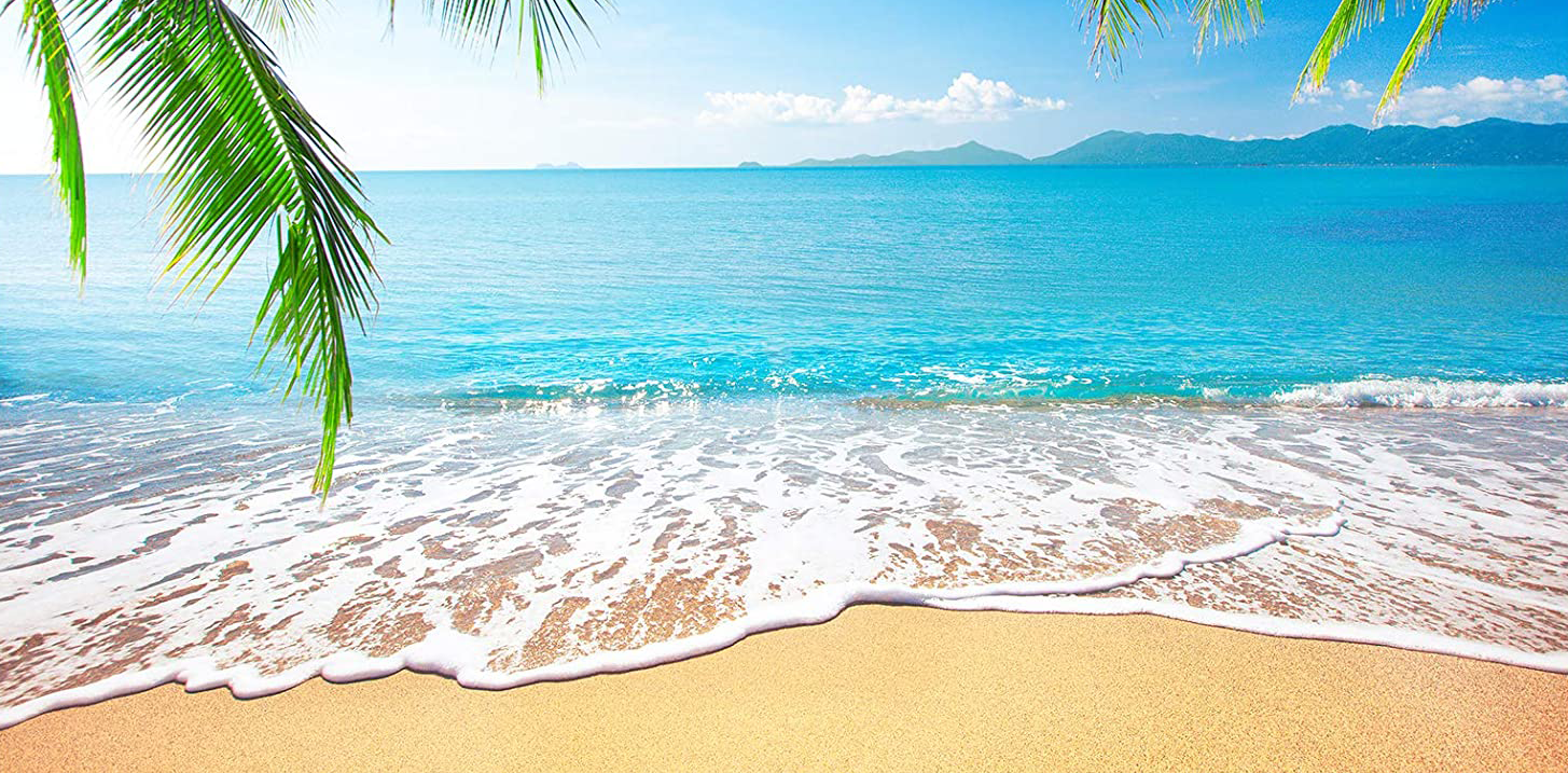 AUGUST BACK TO SCHOOL SPECIALS