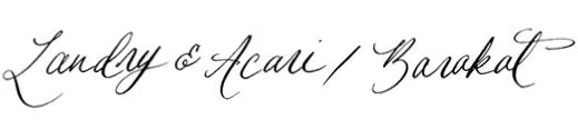 Landry Acari Baraket- Sarah Scales Design Studio - Residential Interior Design Boston Cape Cod.jpg