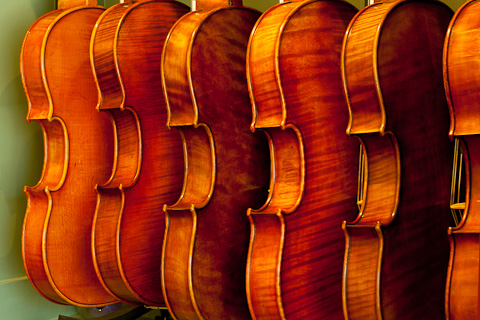 Violas.jpg