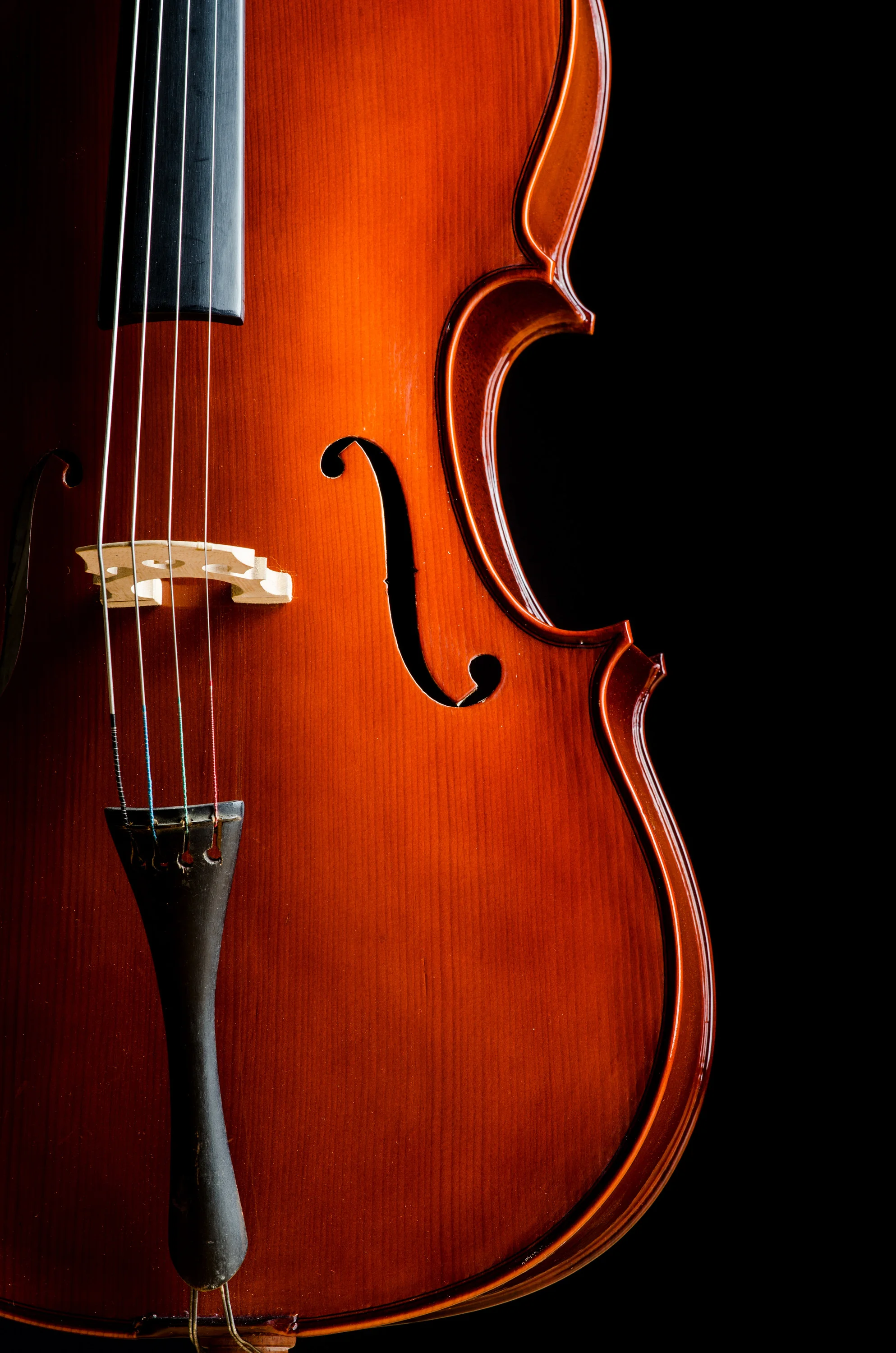cello2.jpg