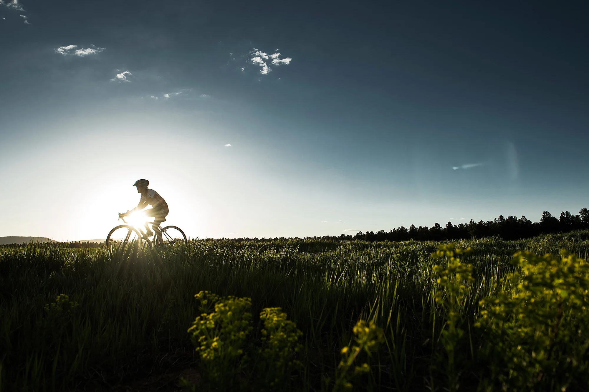 A female cyclist riding through a field in southwest Colorado at sunset