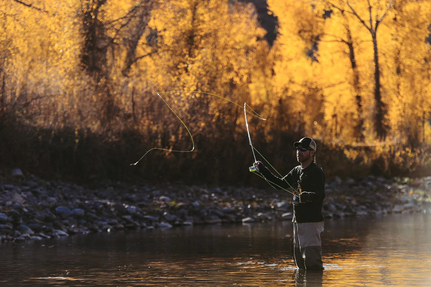 A fly fisherman casts in a fall sunrise in the Southern San Juans near Pagosa Springs, CO