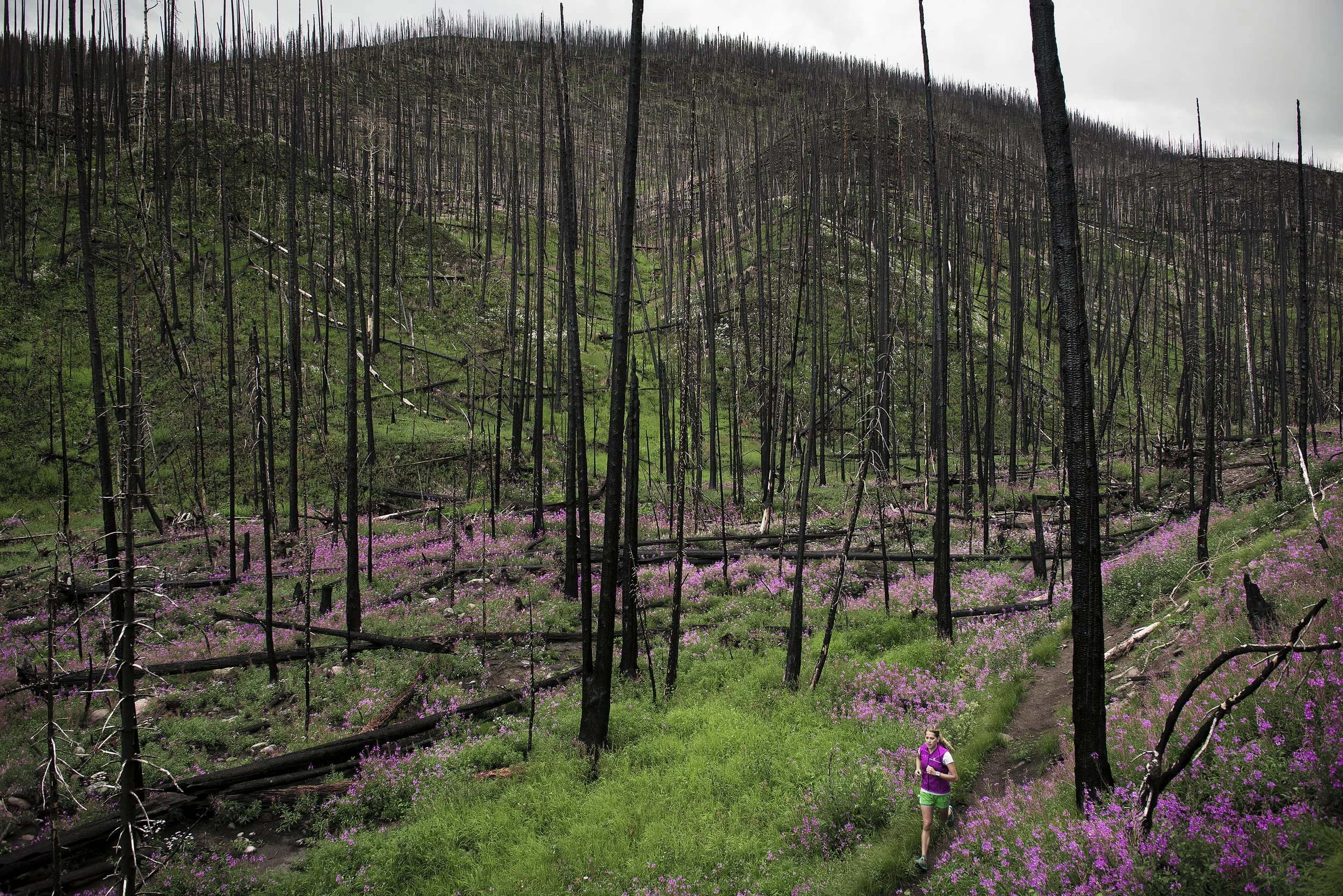 Female athlete running along Hope Creek in southwest Colorado after a wildfire