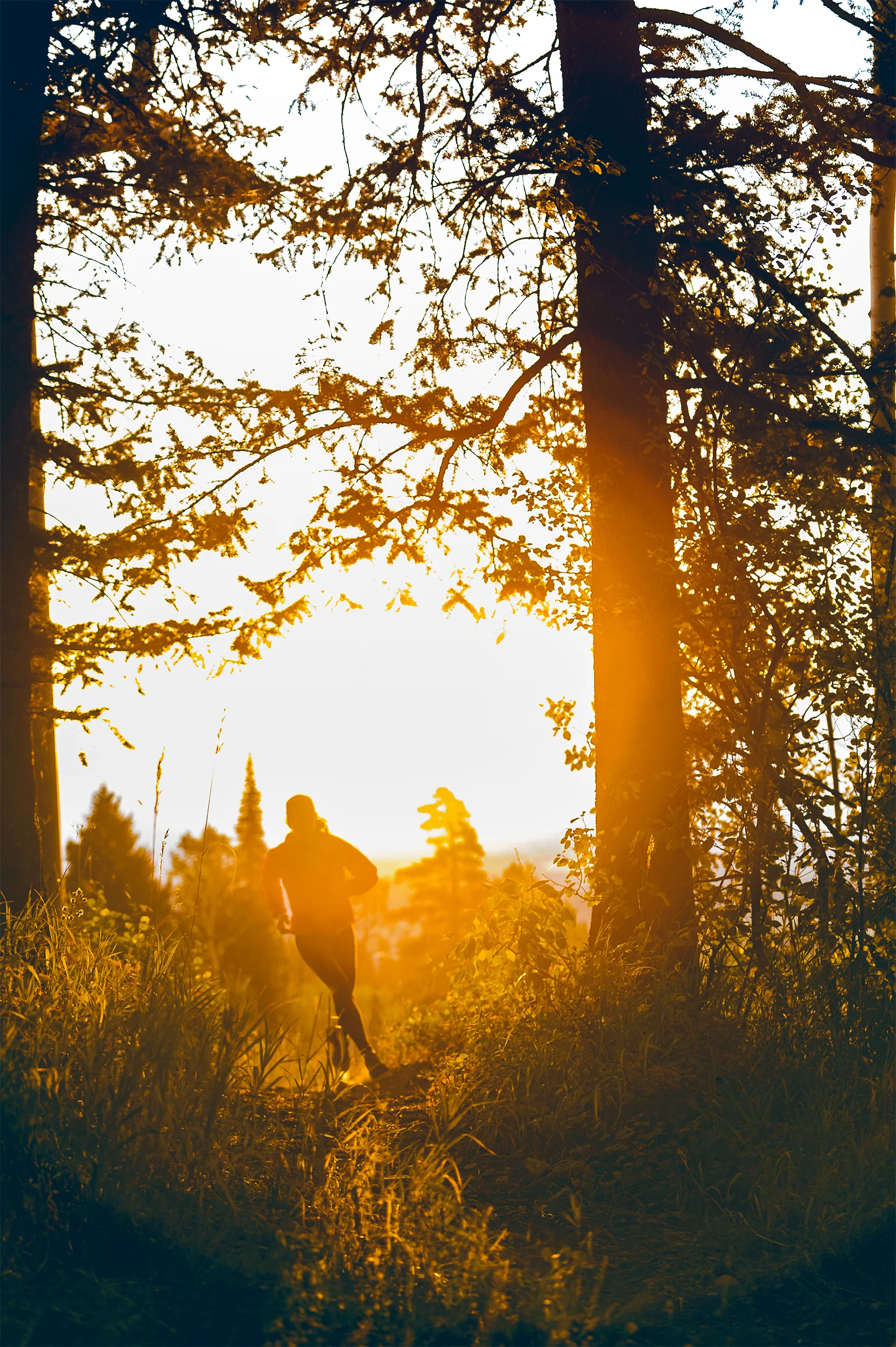 North Face athlete Kit Deslauriers running at sunrise in Jackson, WY