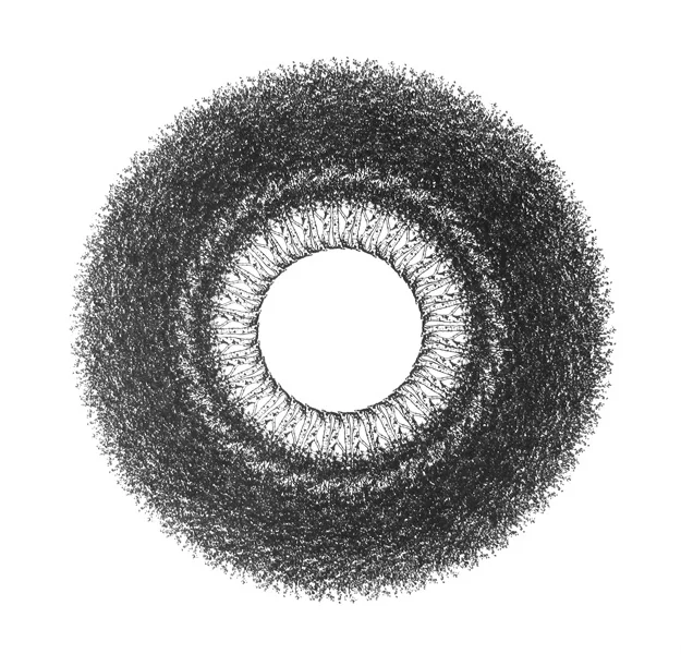 birch.circle.jpg