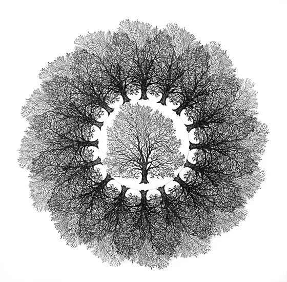 tree_circ.jpg