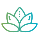 lotus-flower.png