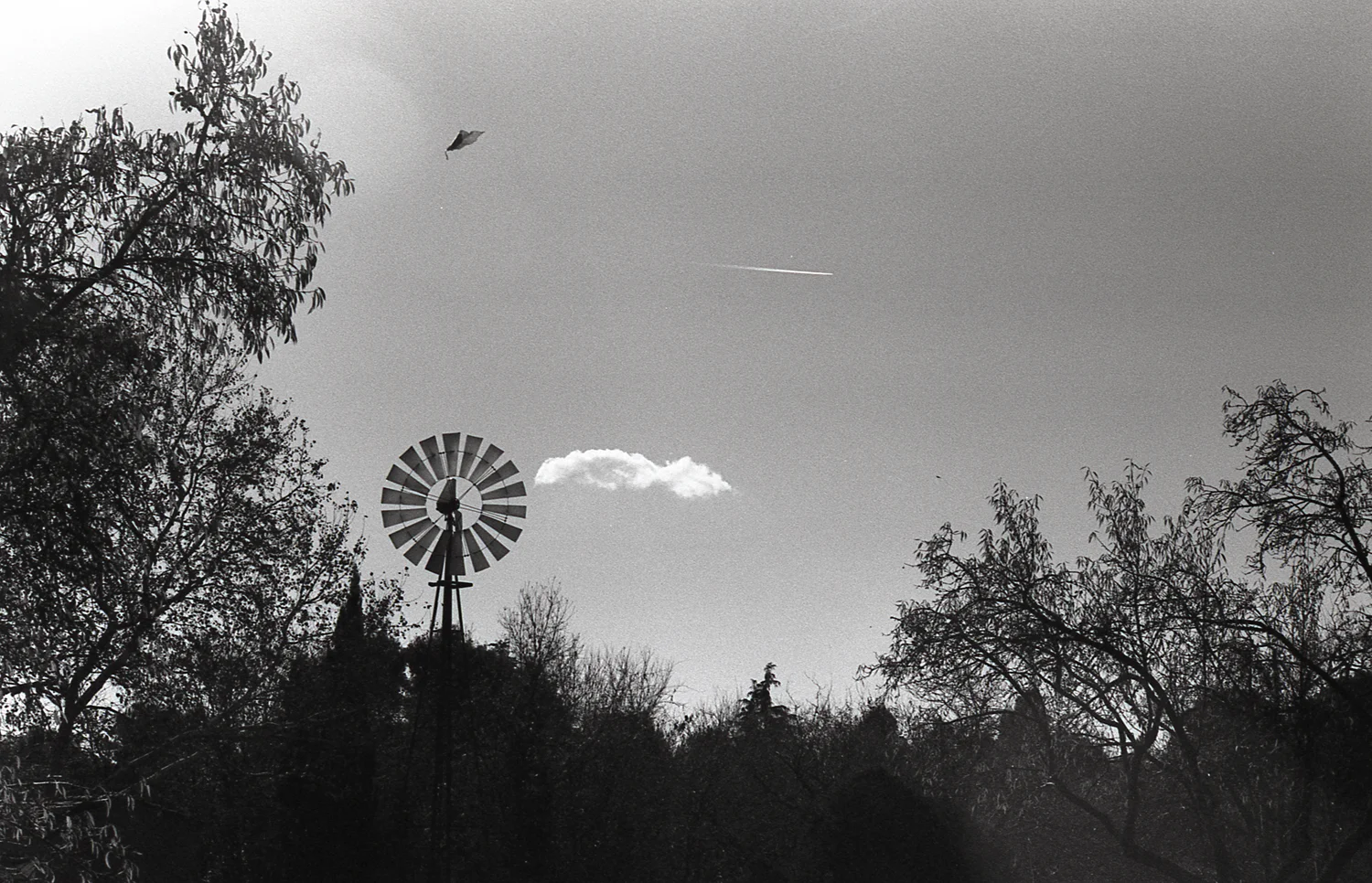img015.jpg
