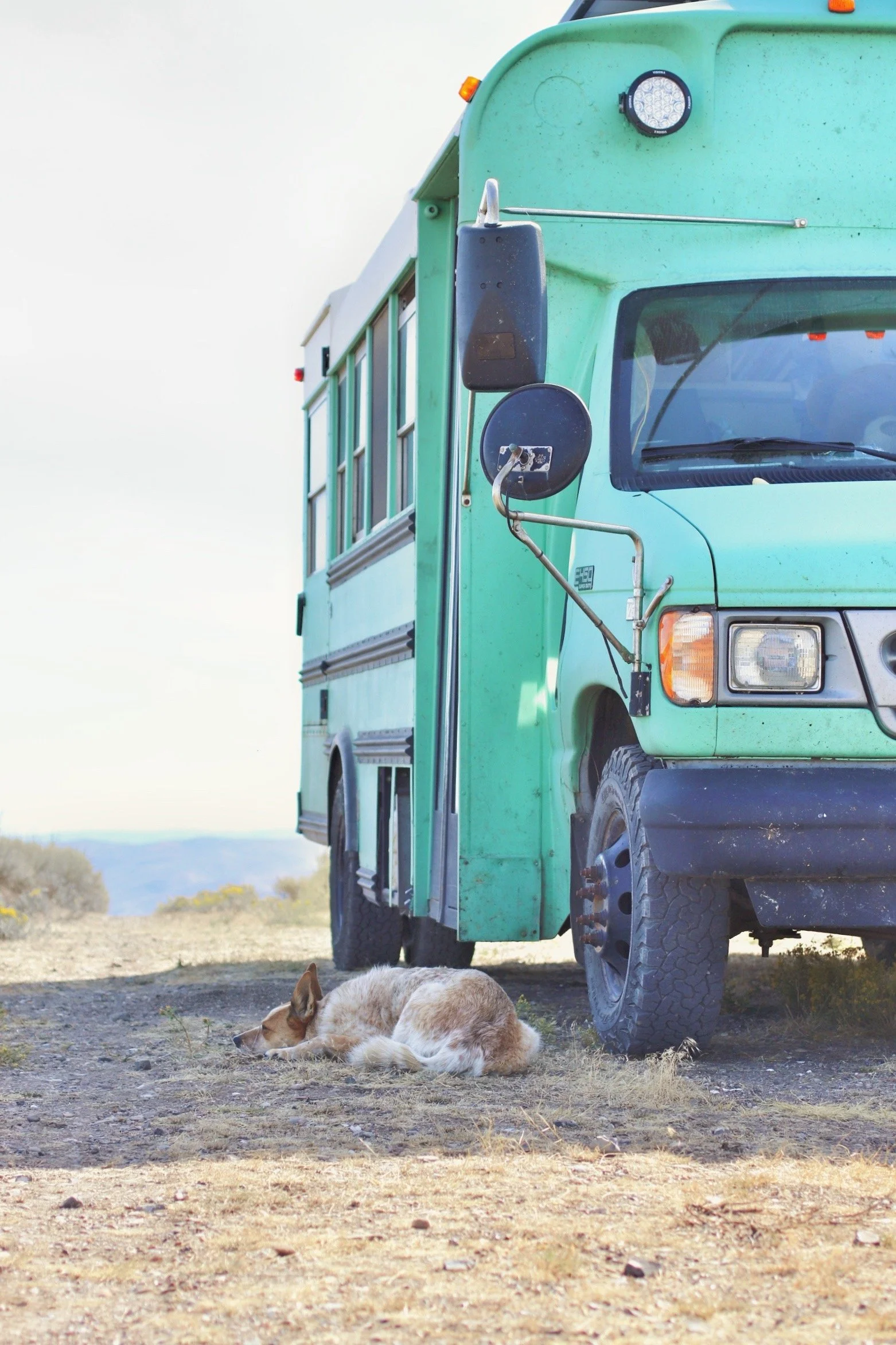 Bus Life Adventure - Skoolie Interview