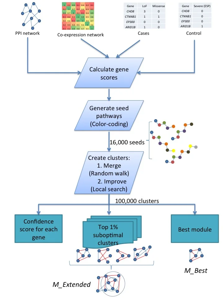 Figure 1. MAGI method for genetic module discovery.