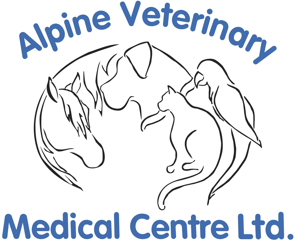 Alpine Vet Blue.jpg
