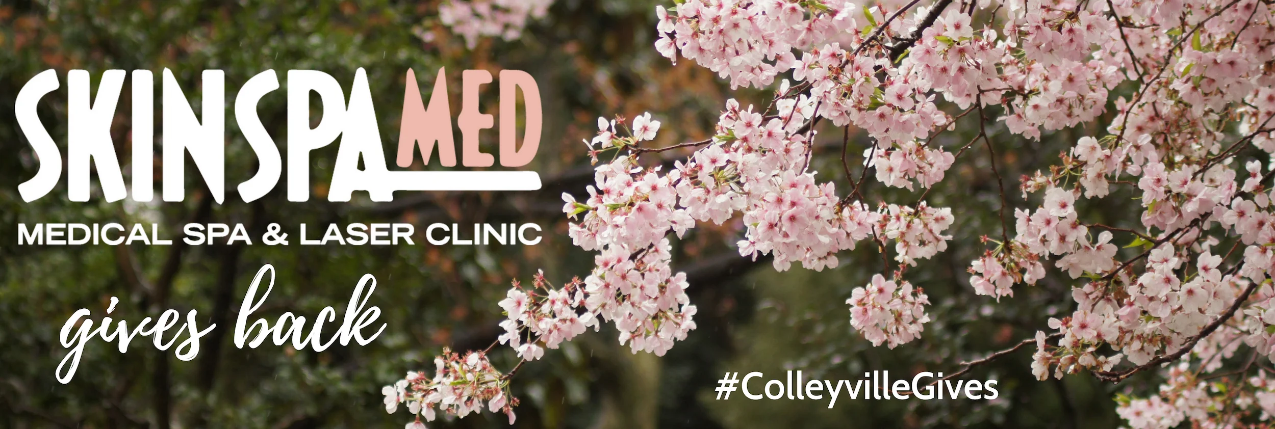 ColleyvilleGives-header.jpg