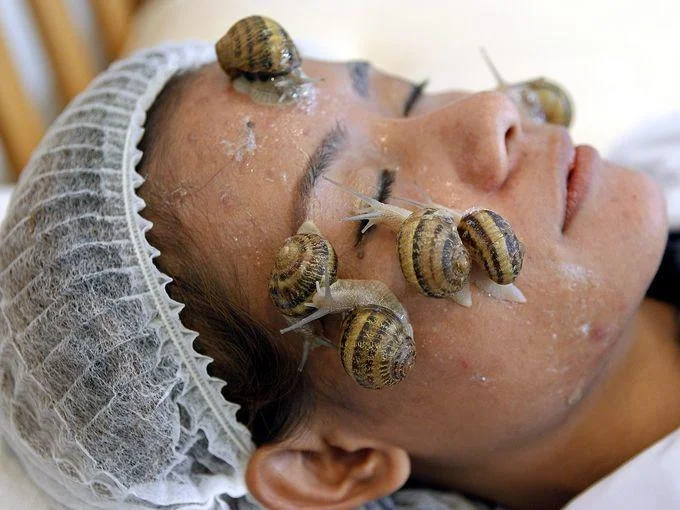 Snail Slime: Does it Work?